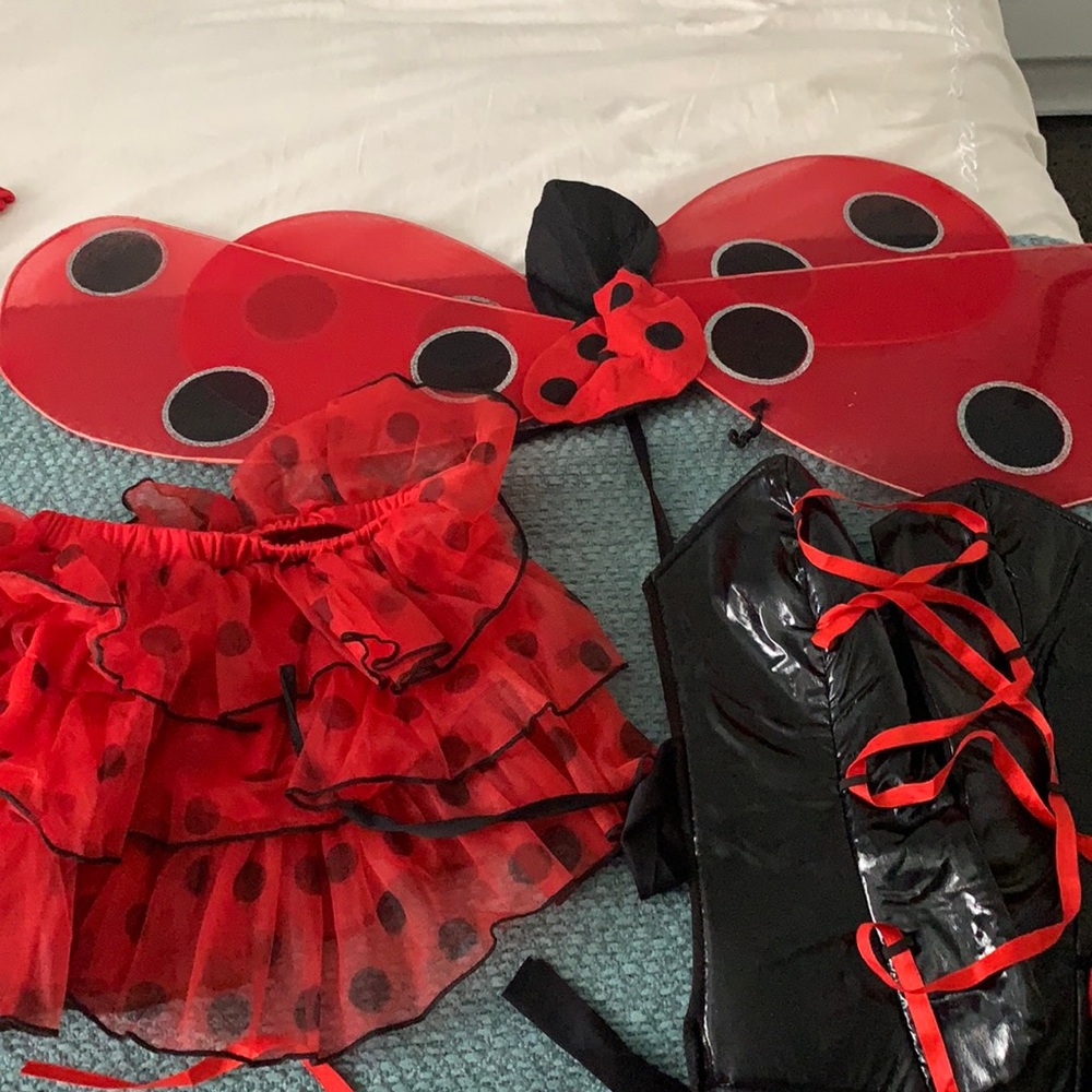 Ladybug women costume